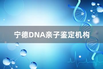 宁德DNA亲子鉴定机构